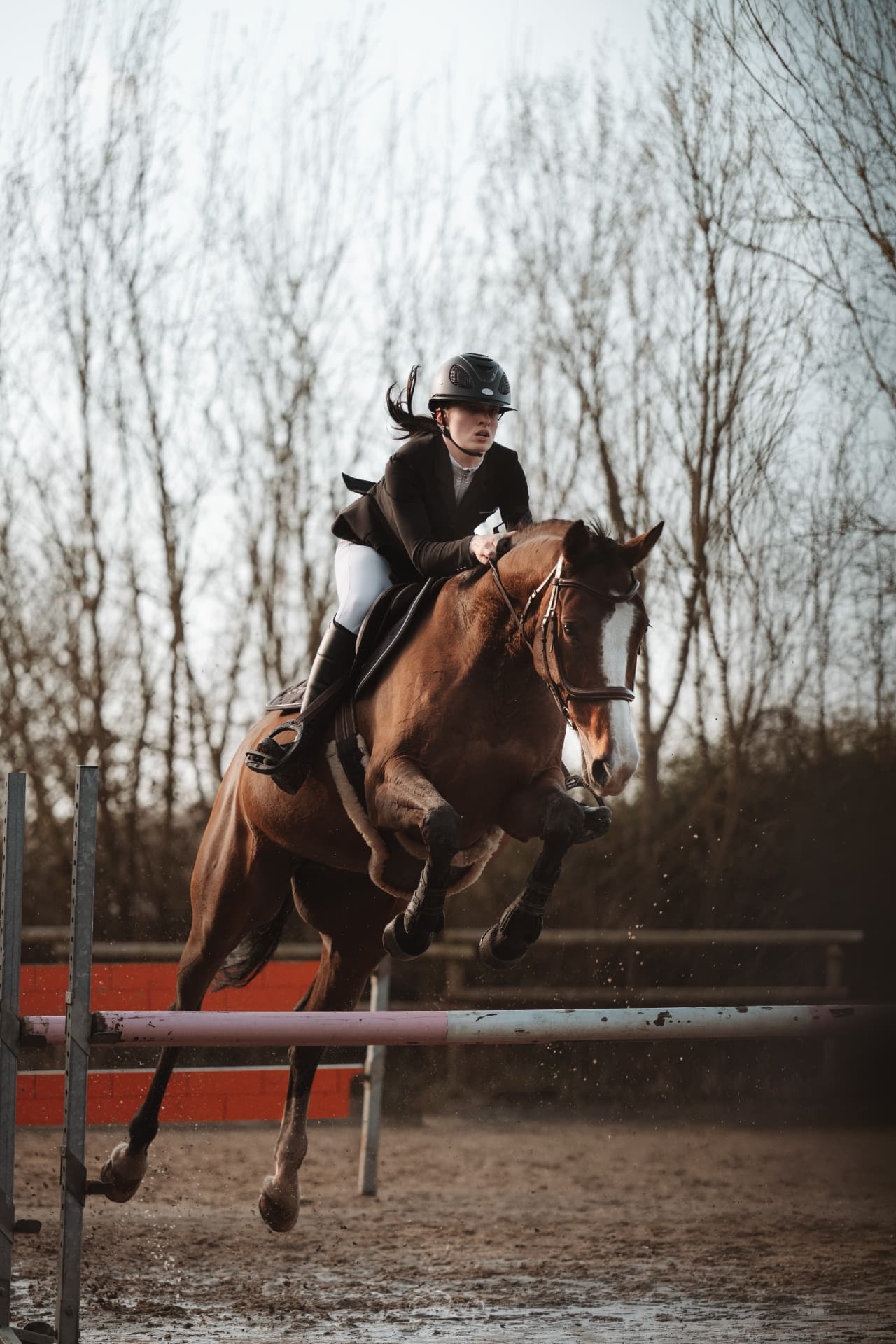 Sport
